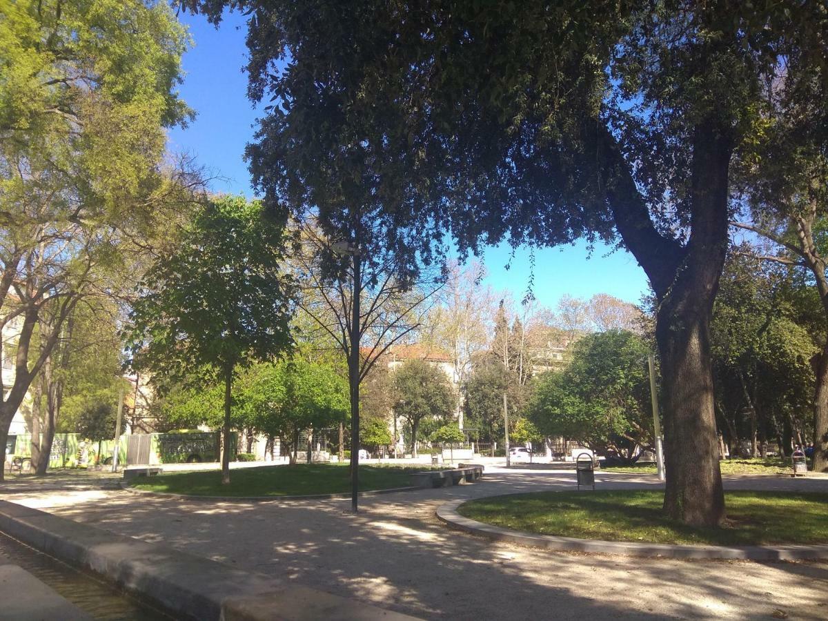 Apartman Dario Daire Split Dış mekan fotoğraf